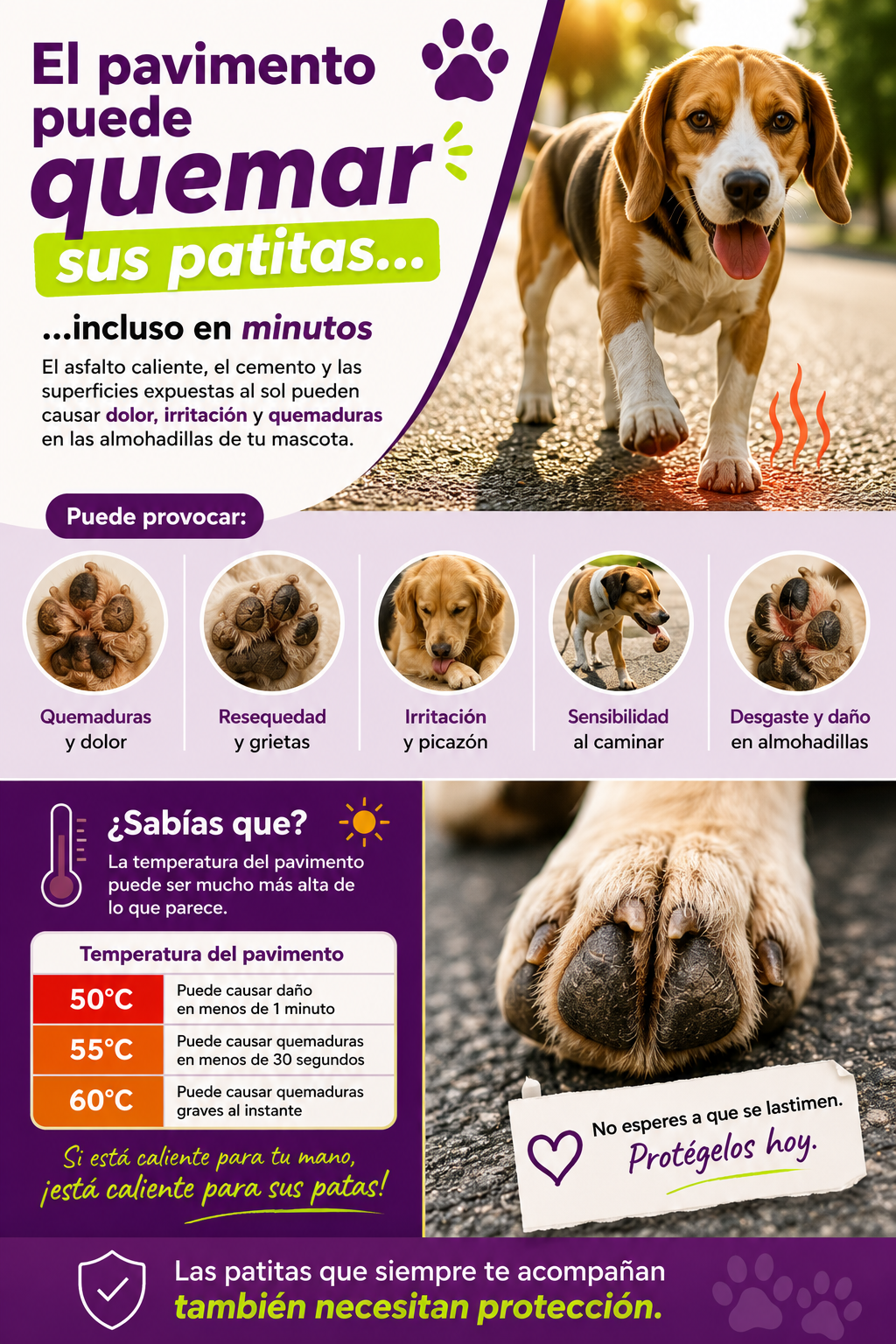 Bálsamo herbal protector